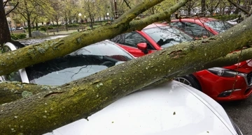 Zagreb: Olujni vjetar iščupao stablo u Ulici Bartola Kašića 
